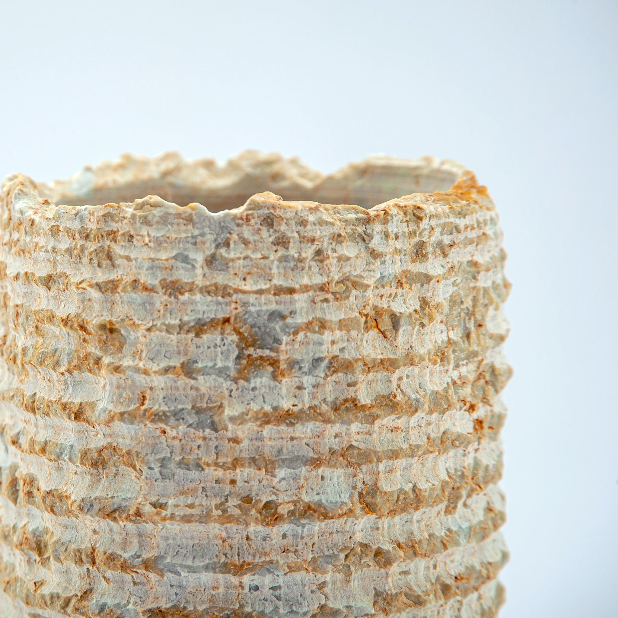 Sedimento Vase
