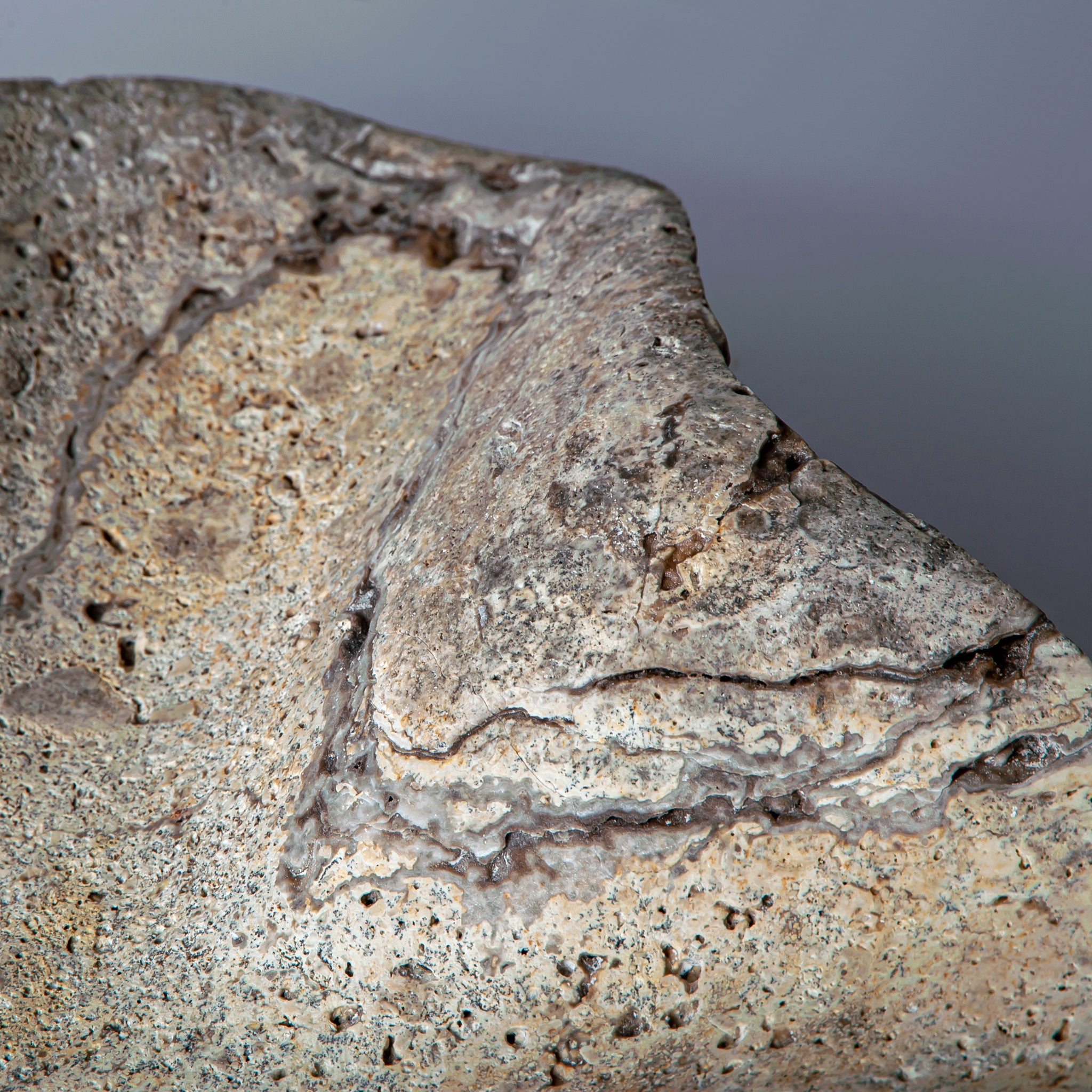 Aeolis Schale 