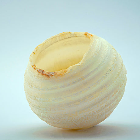 Velora Candle Holder