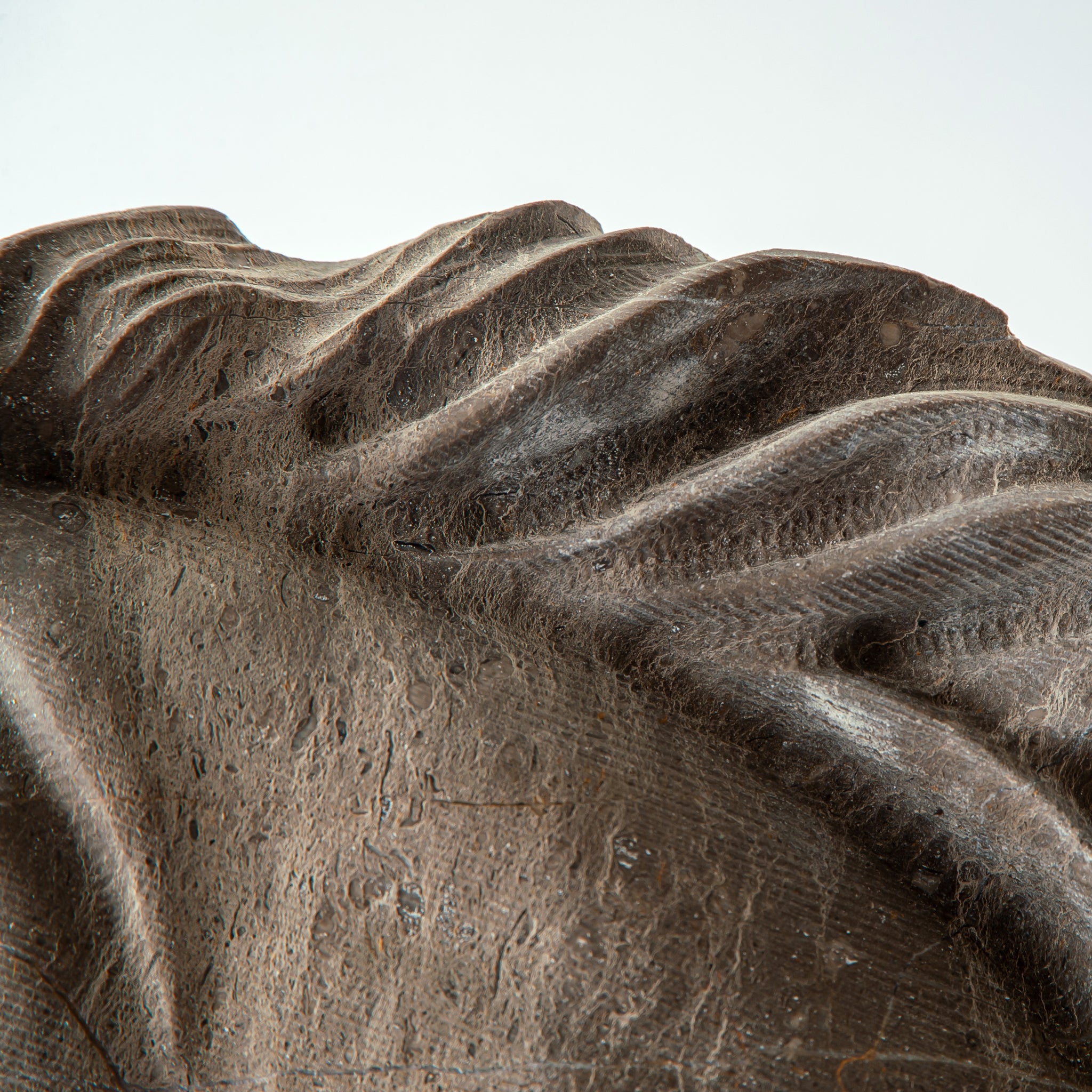 Cavallo Nobile Skulptur
