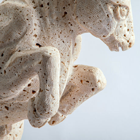 Vigorox Sculpture