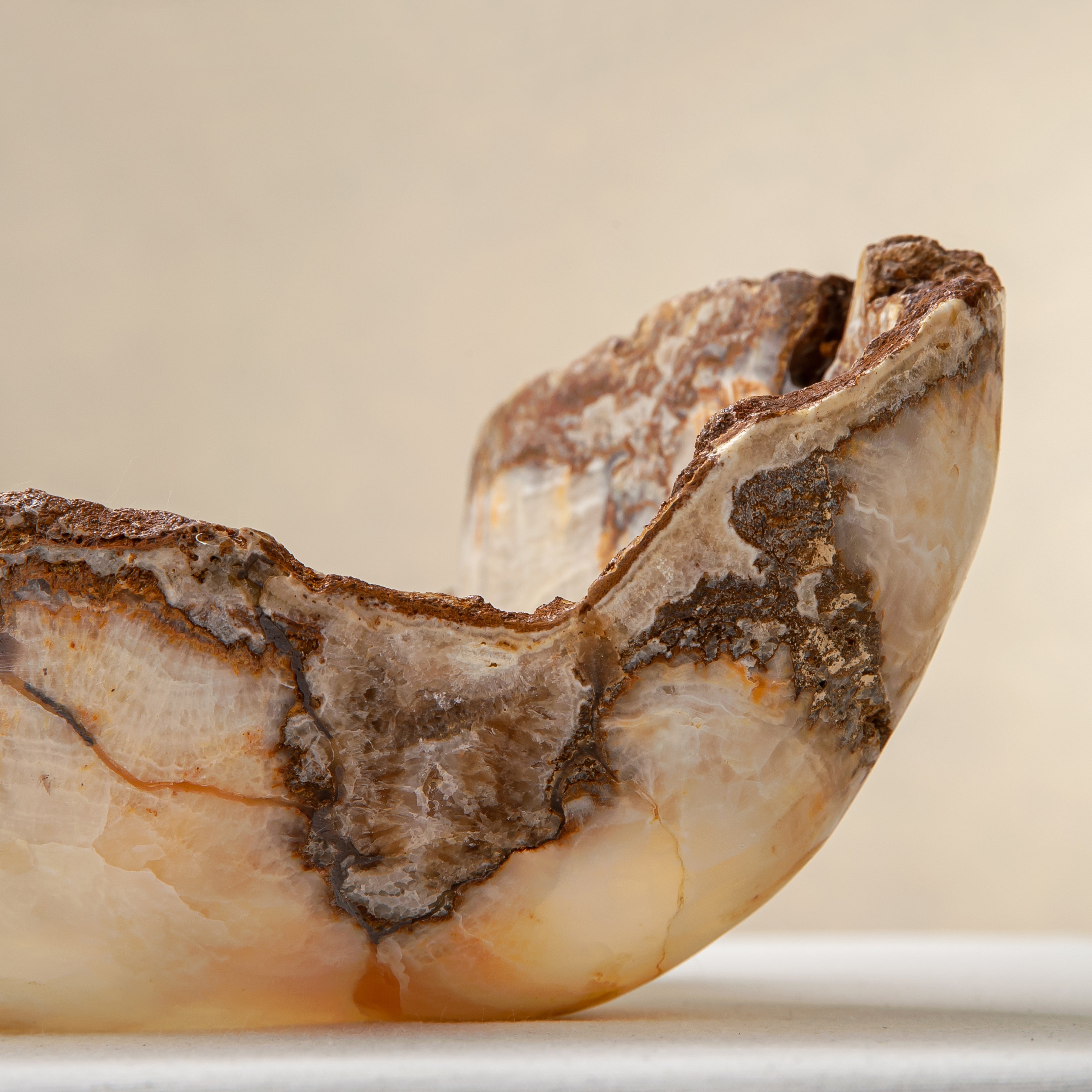 Brontes Bowl