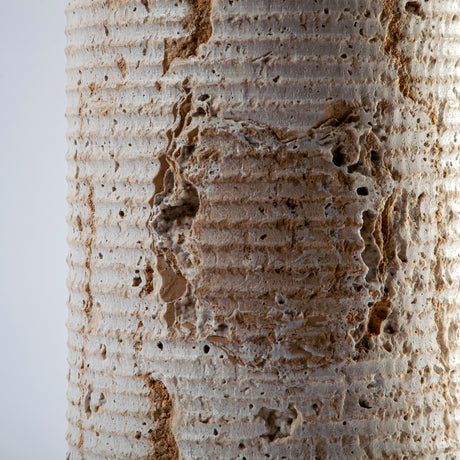 Calvessa Vase