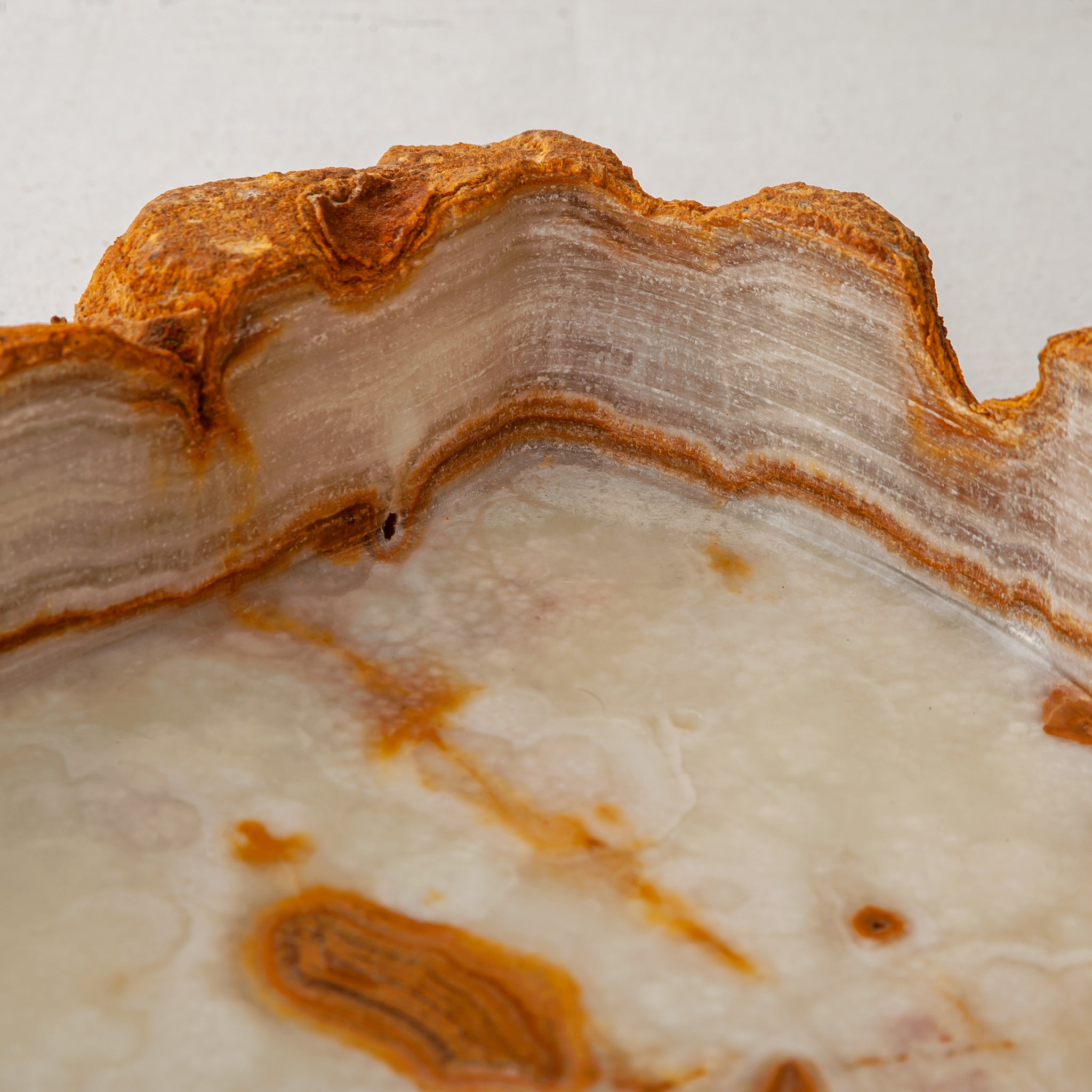 Erosion Schale