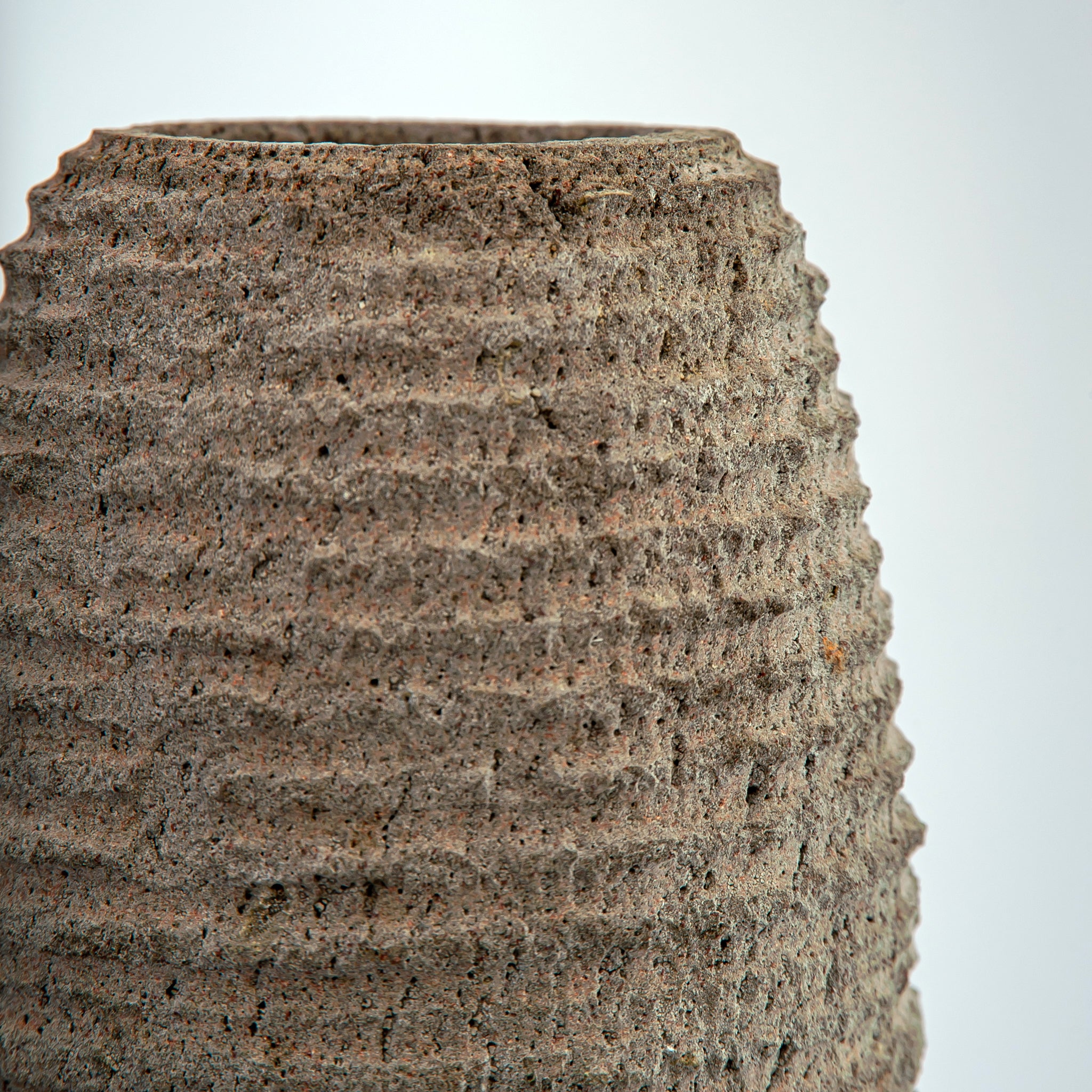 Pyrosia Vase