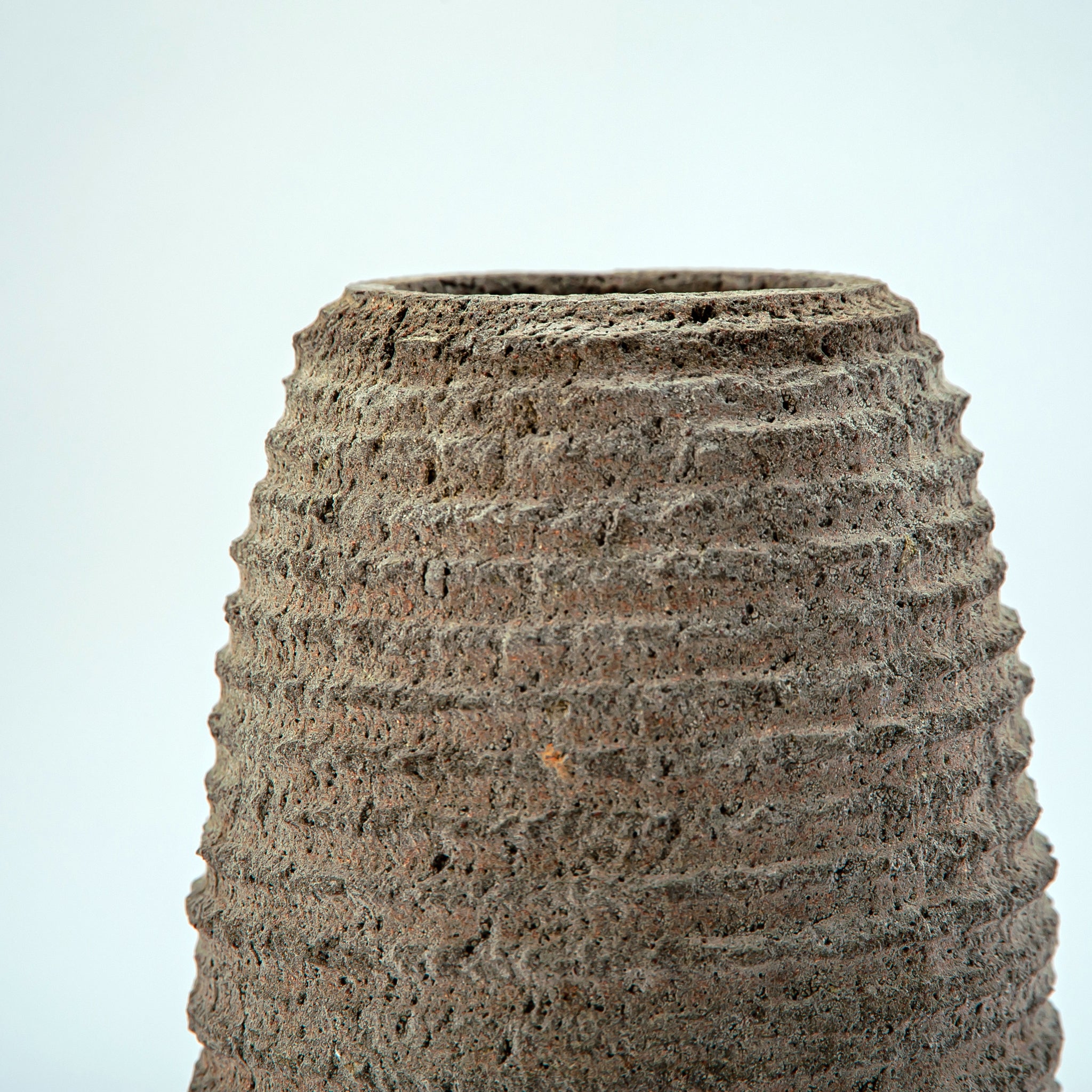 Pyrosia Vase