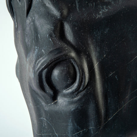 Noir Equus Bust Sculpture