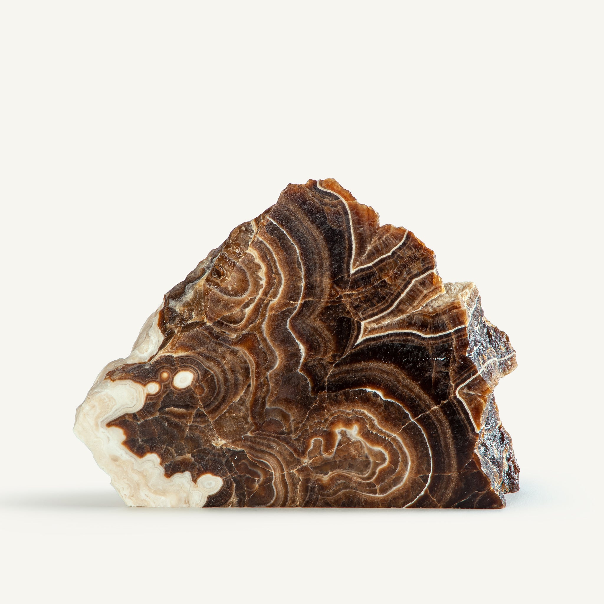 Stratonyx Sculpture