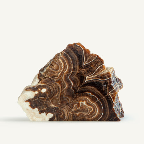 Stratonyx Sculpture