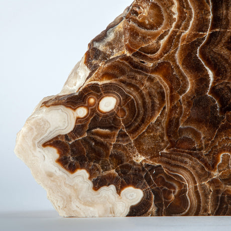 Stratonyx Sculpture