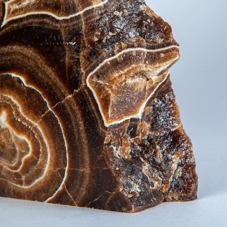 Stratonyx Sculpture