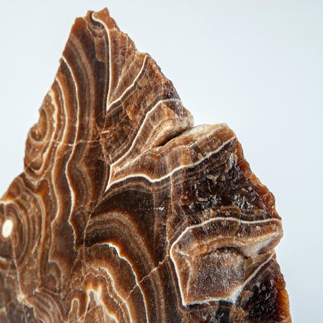 Stratonyx Sculpture