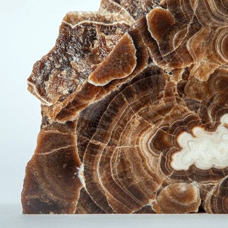 Stratonyx Sculpture
