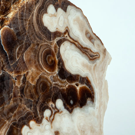 Stratonyx Sculpture