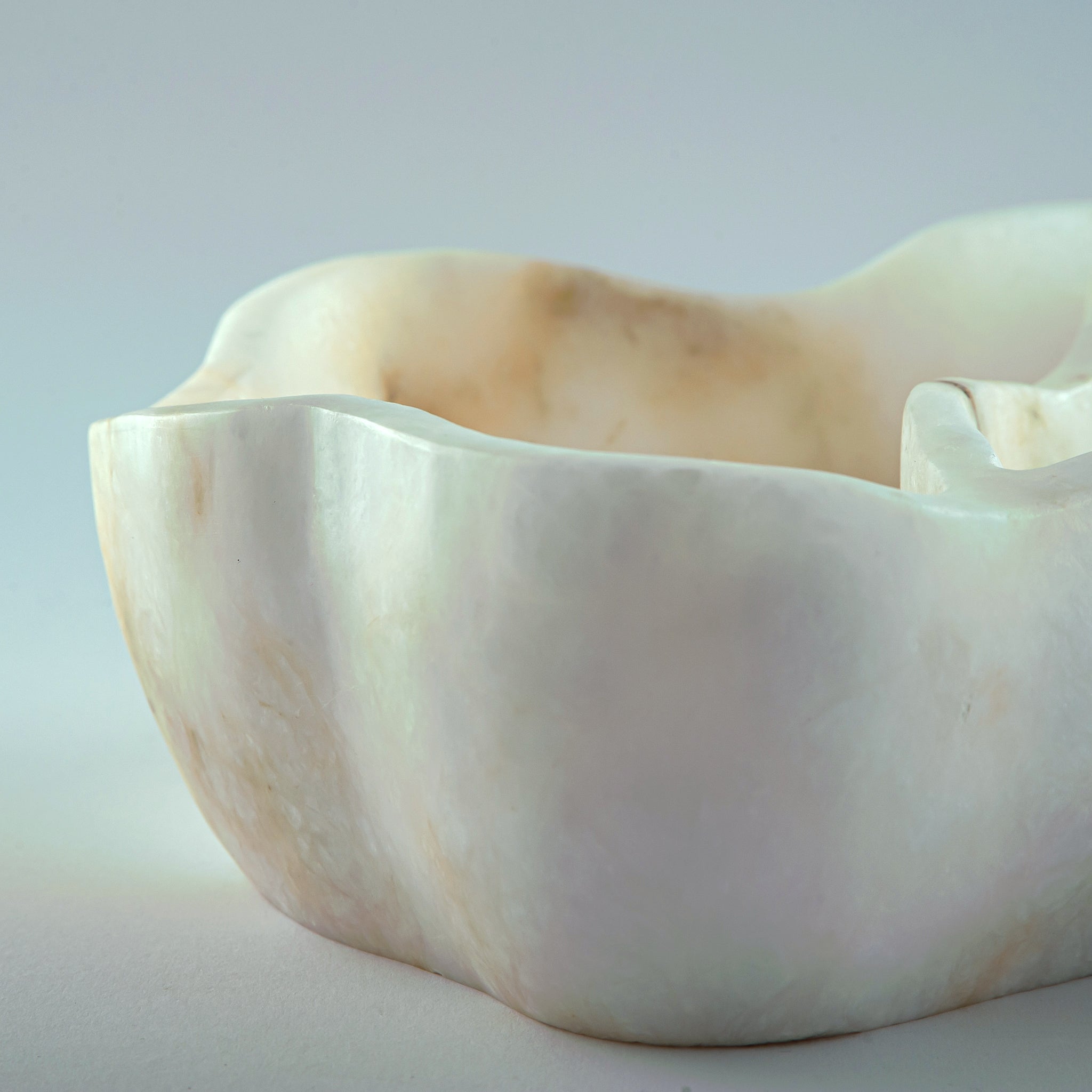 Penelope Divided Bowl