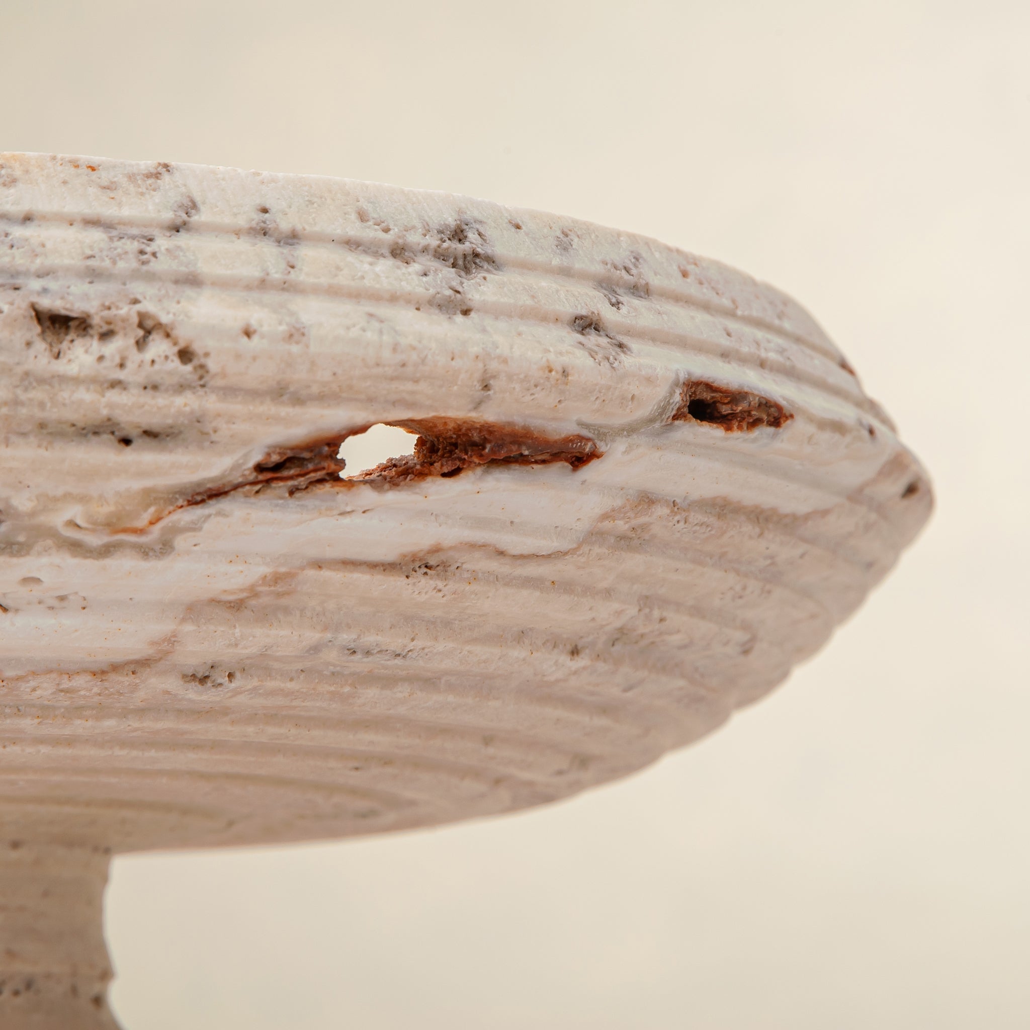 Vellora Bowl