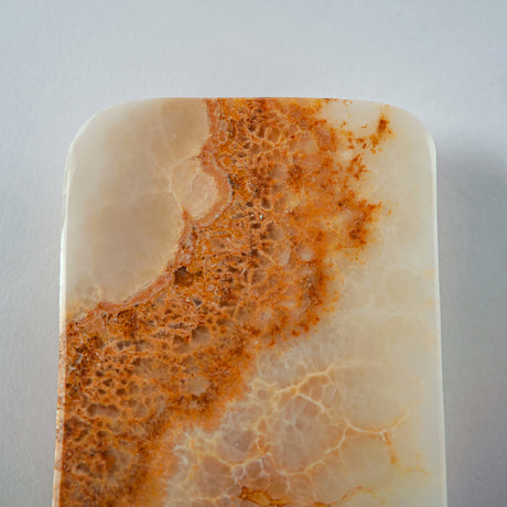 Aurivane Tray