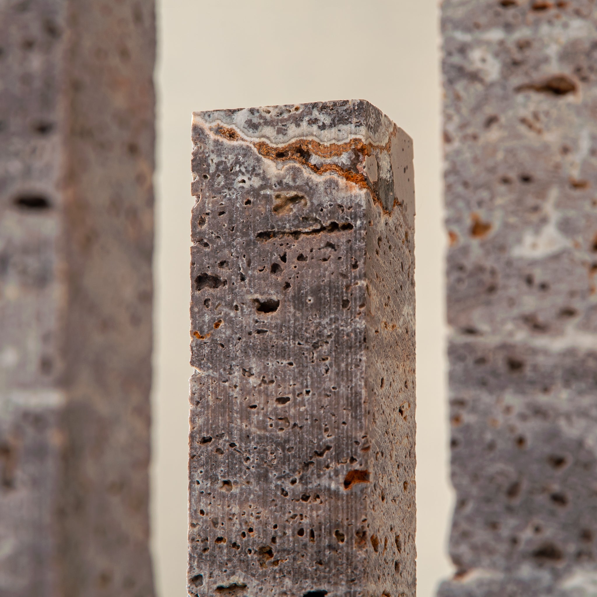 Corallus Kerzenhalter