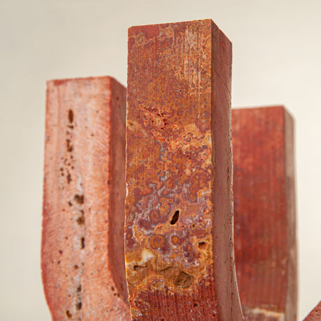 Corallus Candle Holder