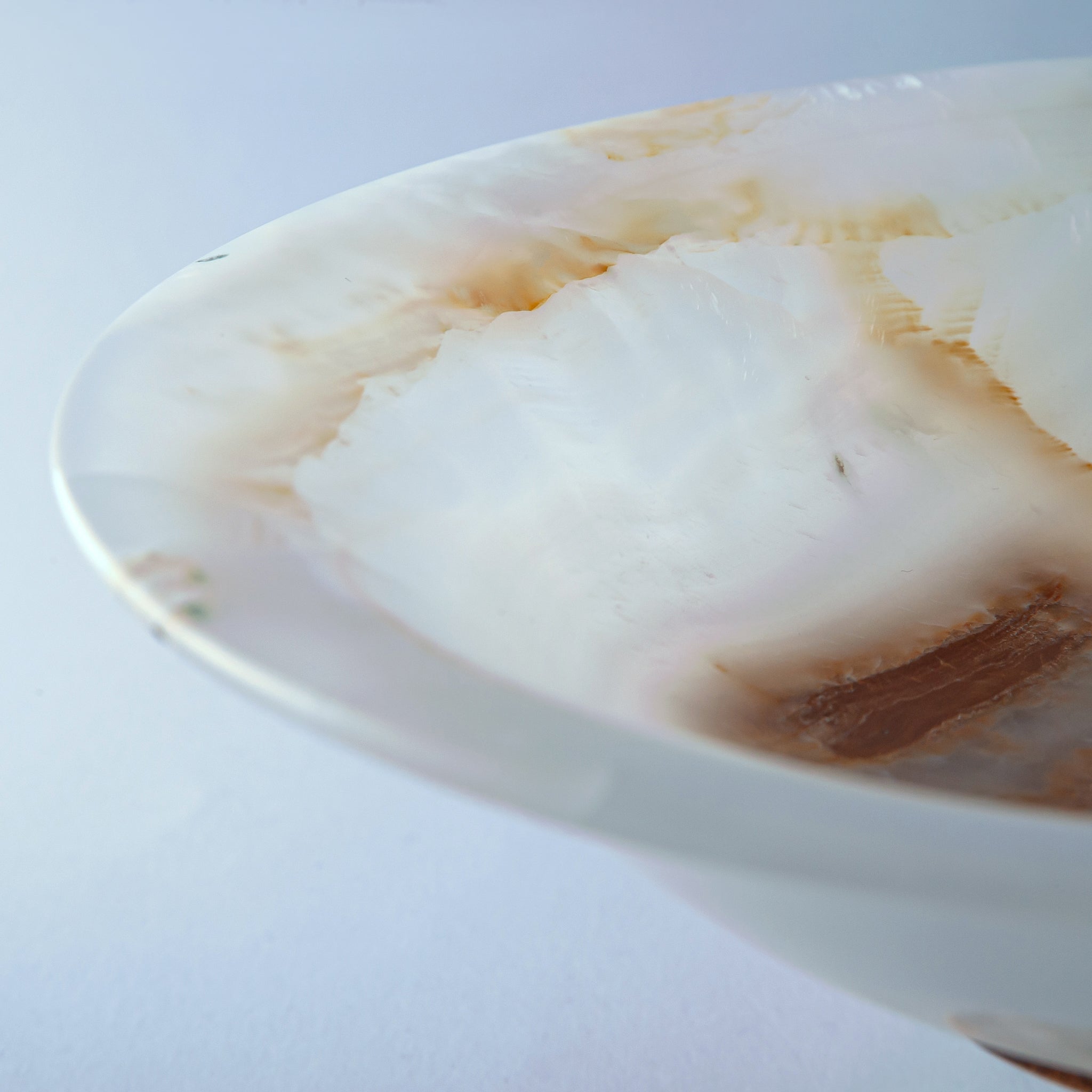 Vasio Bowl