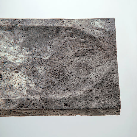 Renus Tray