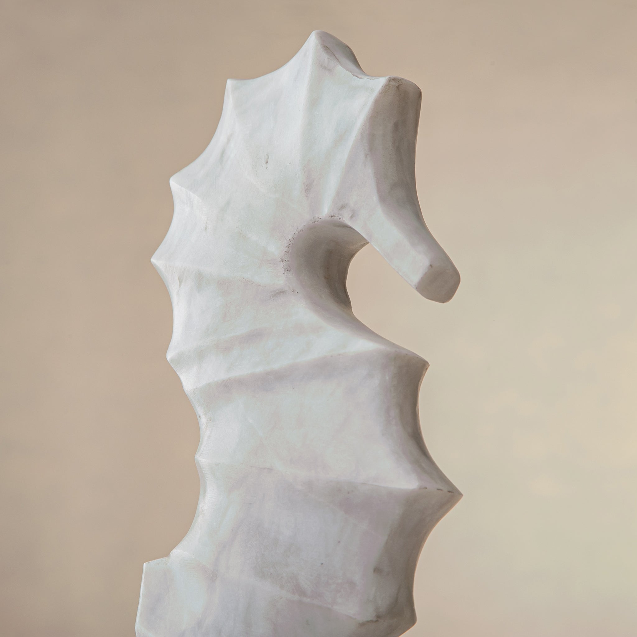 Hippocampus Figur