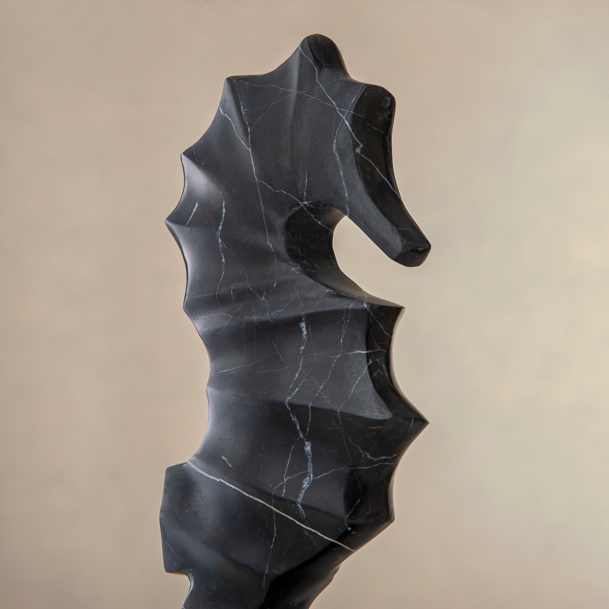 Hippocampus Figur