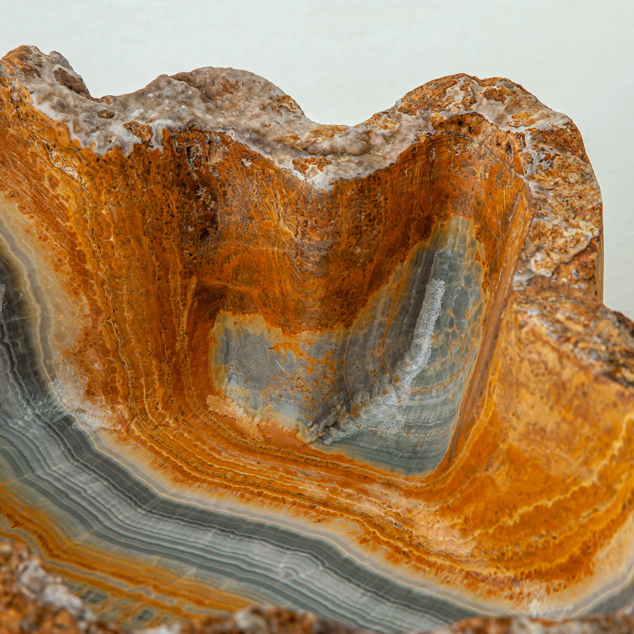Petralis Bowl