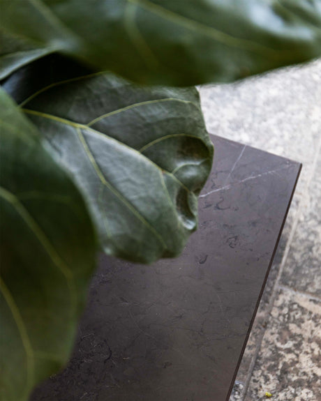 Pietra Plant Pedestal