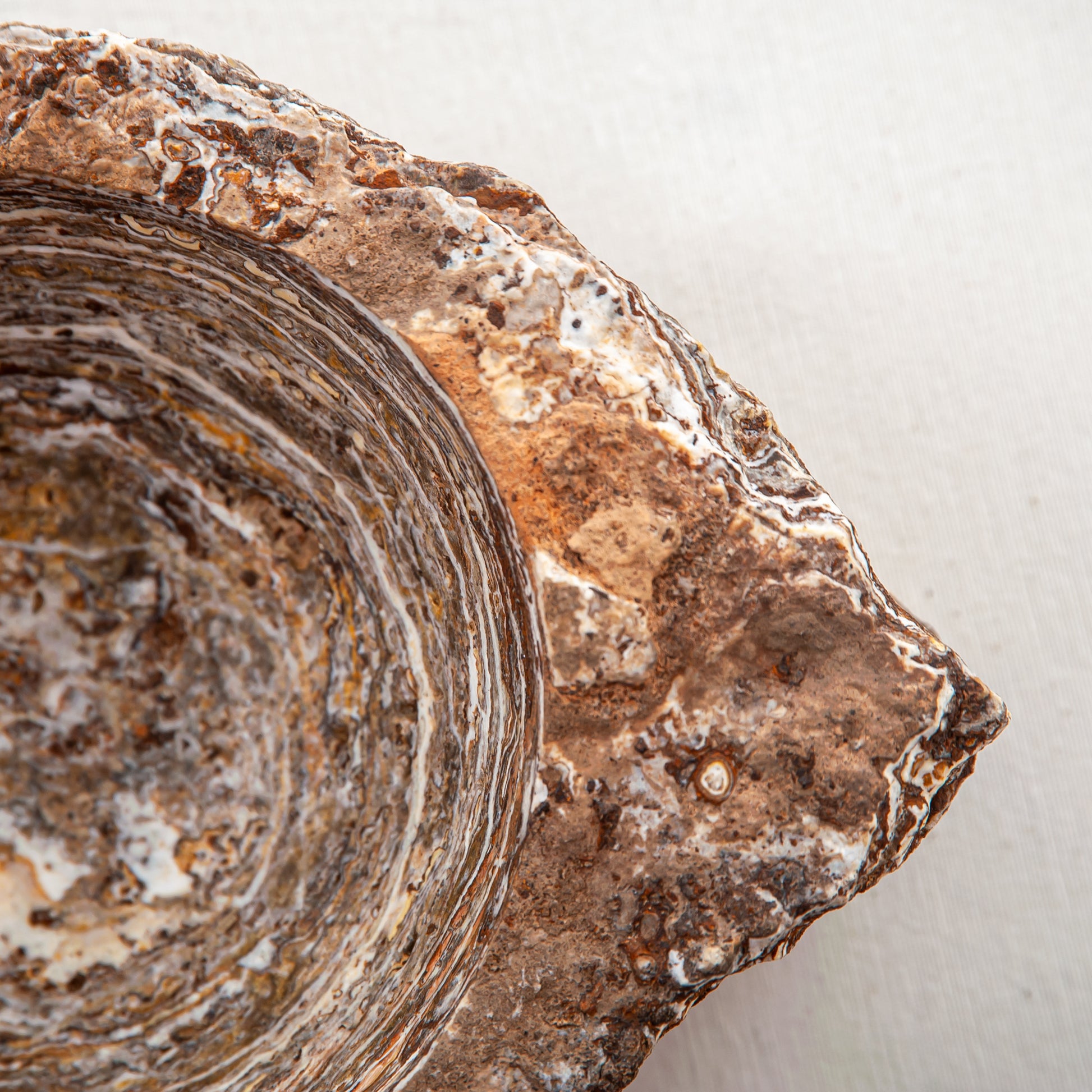 handcrafted onyx bowl with layered brown and ivory bands as sculptural centerpiece
