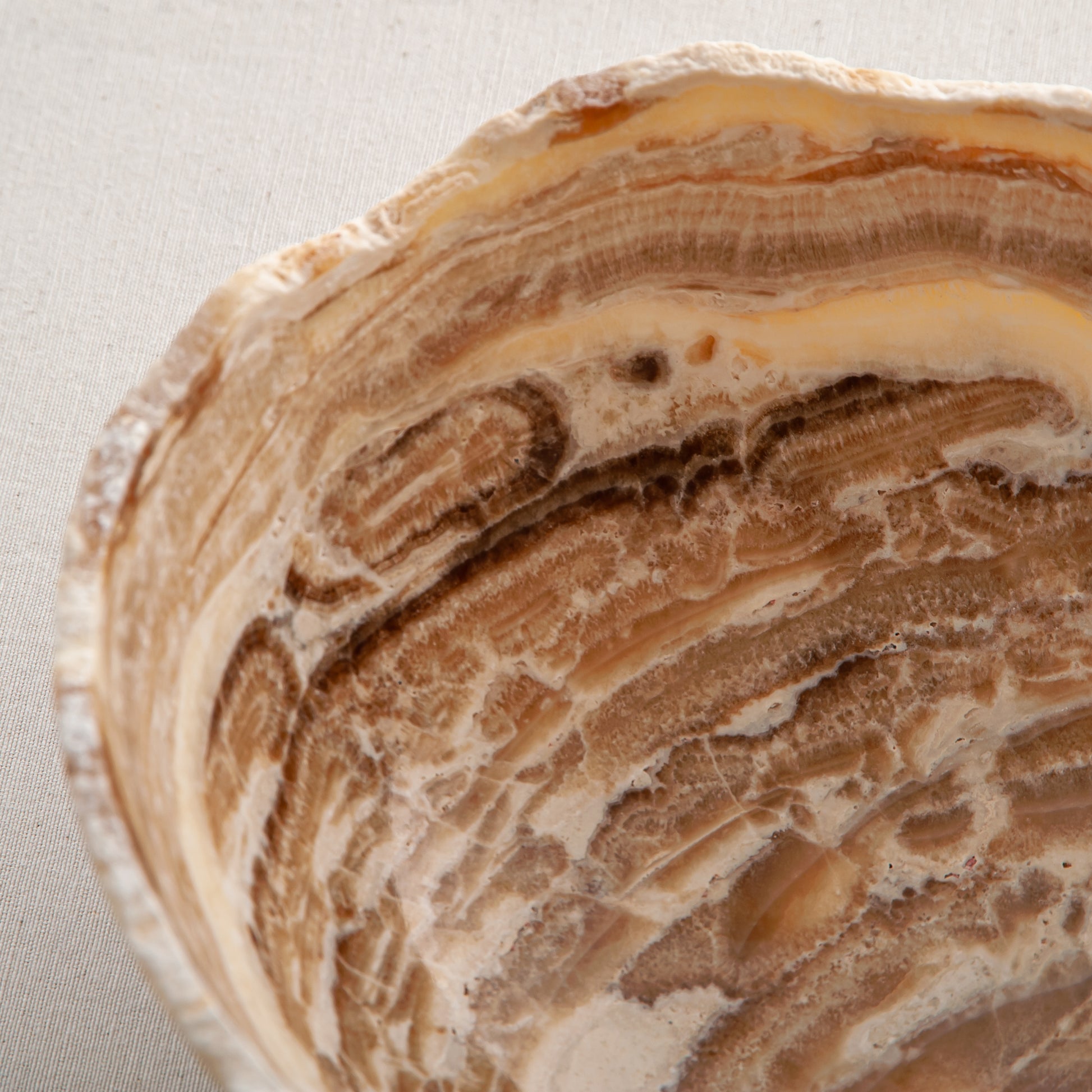 handcrafted stone bowl in onyx with textured edge and rich banding for coffee table styling