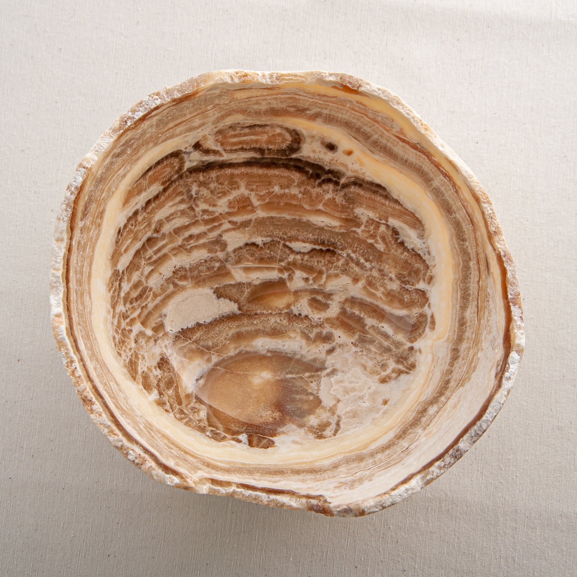 handcrafted stone bowl in onyx with textured edge and rich banding for coffee table styling