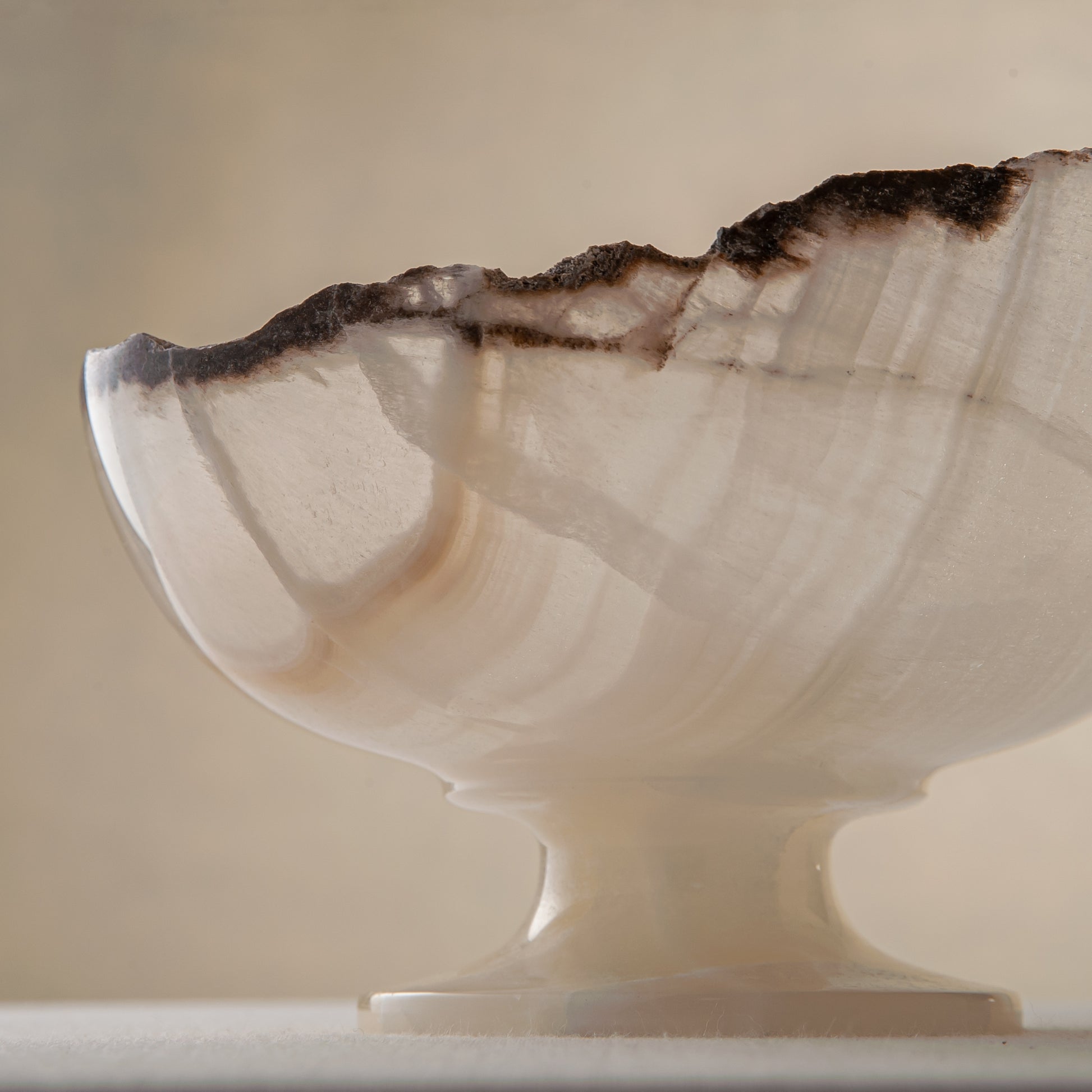 handcrafted onyx bowl ivory translucent stone with dark edge decorative centerpiece
