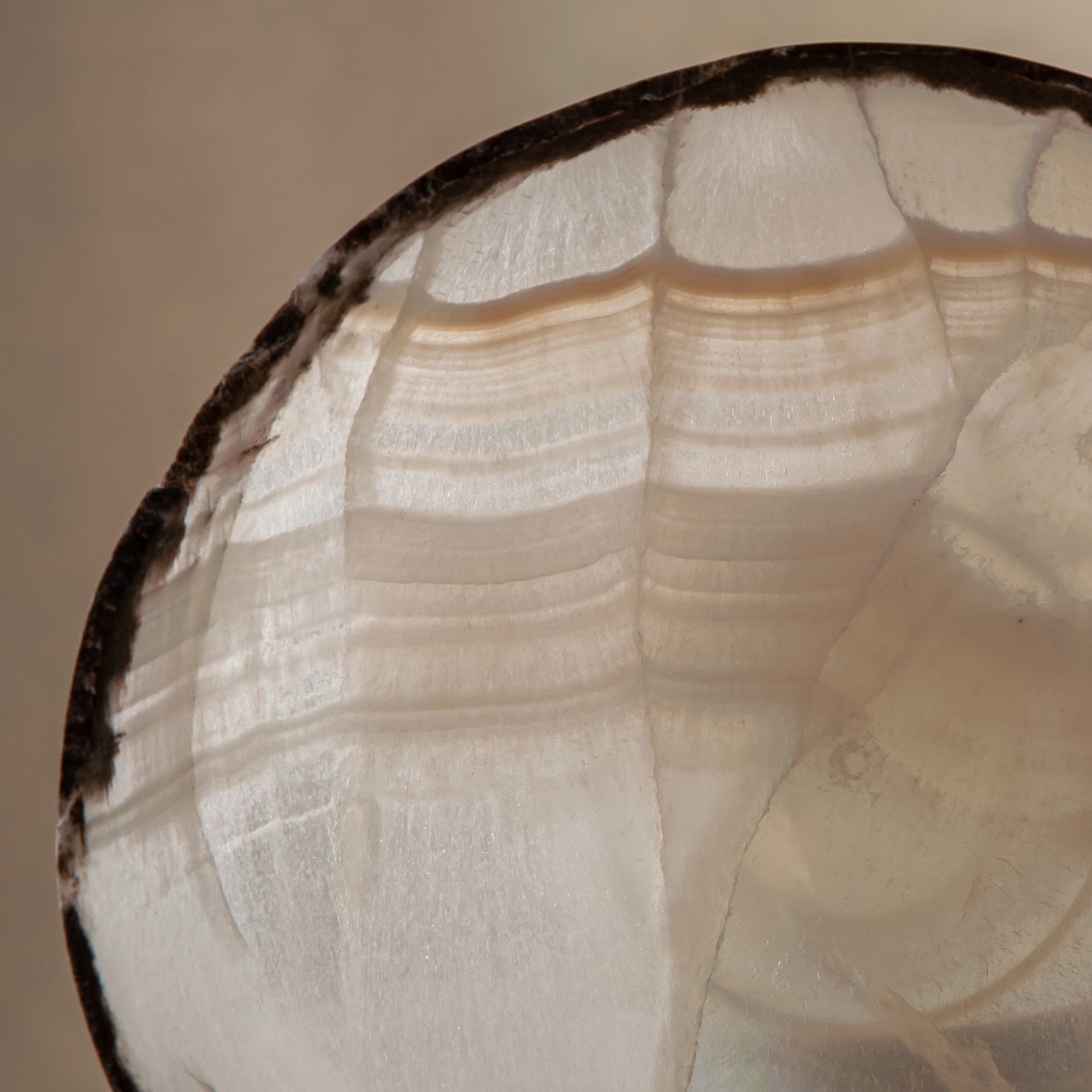 handcrafted onyx bowl ivory translucent stone with dark edge decorative centerpiece
