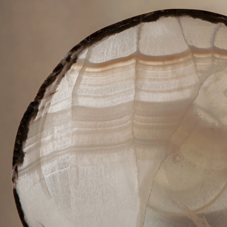 handcrafted onyx bowl ivory translucent stone with dark edge decorative centerpiece
